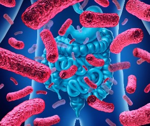 Il microbioma intestinale